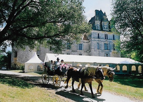 Mariage au château